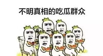 吃瓜群众网络用语,揭秘娱乐圈那些事儿