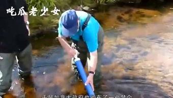 娱乐吃瓜老少女,老少皆宜的吃瓜盛宴,揭秘明星幕后故事