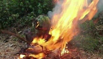 暗黑吃瓜官网入口免费观看,揭秘暗黑世界,畅享独家视听盛宴