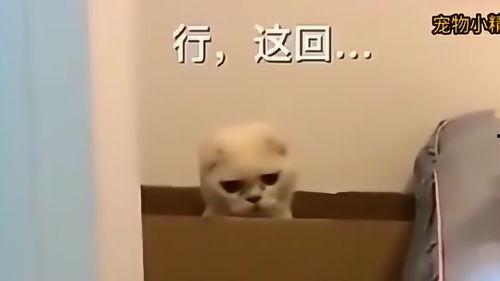 女生说在吃瓜子怎么回复,女生品味生活瞬间