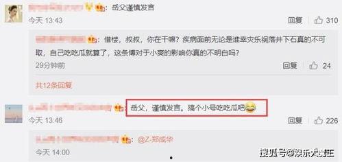 娱乐吃瓜评论,吃瓜群众热议幕后故事