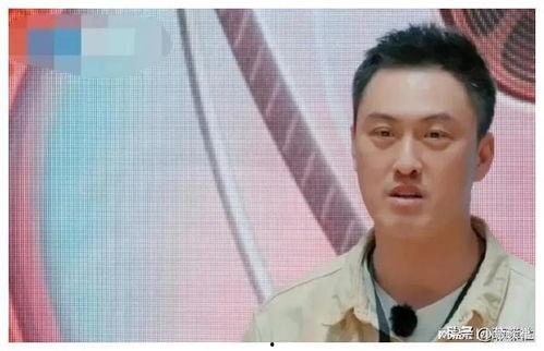 娱乐圈吃瓜圈内人是谁