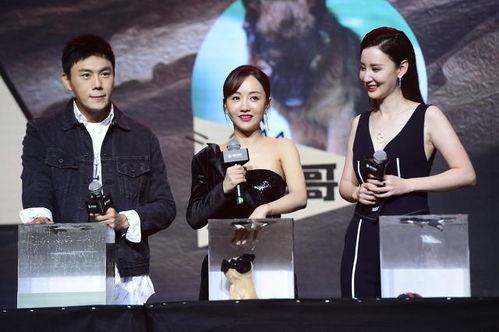 娱乐圈吃瓜合集最全,揭秘最全吃瓜合集