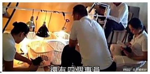 娱乐圈吃瓜真实故事改编,娱乐圈那些不为人知的秘密与真相