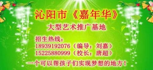 纯属虚构仅供娱乐吃瓜,揭秘那些虚构世界的幕后故事